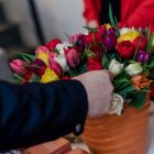 small_web-03150.jpg